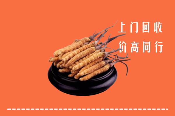 高价求购：沧州市回收散虫草