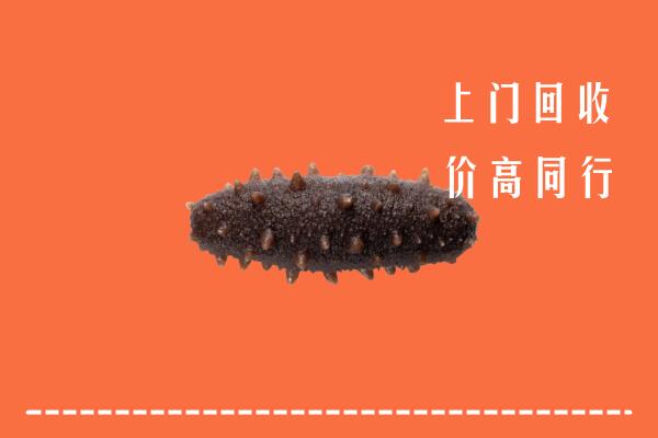 沧州市回收海参