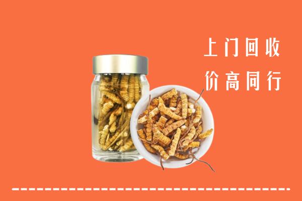 沧州市回收冬虫夏草