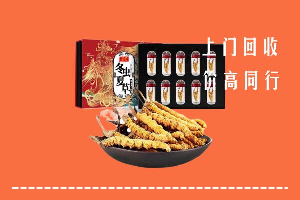 沧州市回收虫草